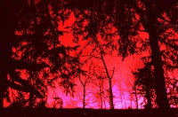 /album/www-pix-fx-de/ror-jpg/