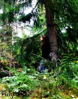 /album/www-pix-fx-de/franzi2-jpg/