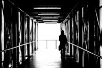 /album/www-pix-fx-de/dsc-0141%c3%b8-jpg/