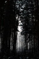 /album/www-pix-fx-de/dsc-0223-jpg/