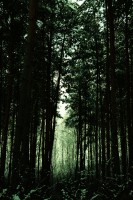 /album/www-pix-fx-de/dsc-0224-jpg/