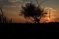 /album/www-pix-fx-de/dsc-0142-jpg/