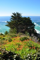 /album/www-pix-fx-de/dsc-0628-jpg/