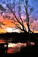 /album/www-pix-fx-de/dsc-0504-jpg/