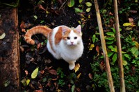 /album/www-pix-fx-de/dsc-0350-jpg/