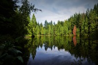 /album/www-pix-fx-de/dsc-0800-jpg/